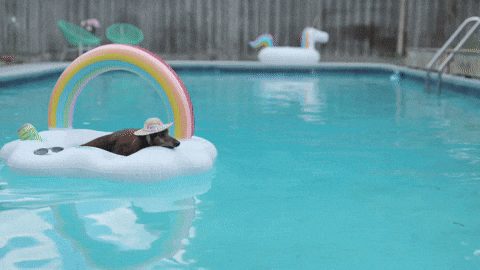 바캉스.gif