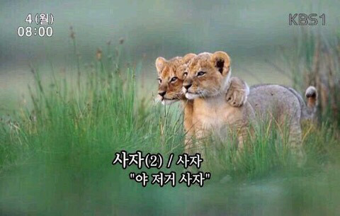 wz_2949839864_8b30dc2c6e660e3cde8a516c4b530b57.jpg wz_2949839864_8b30dc2c6e660e3cde8a516c4b530b57.jpg