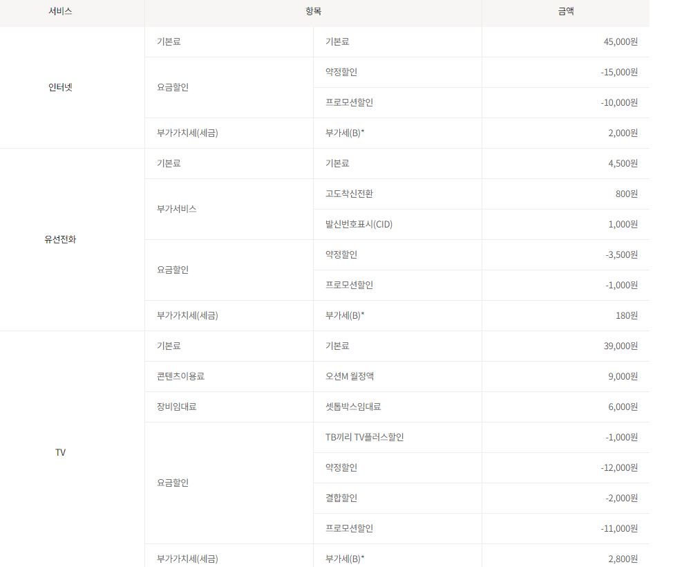 인터넷.JPG