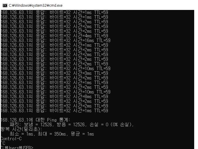 핑.JPG