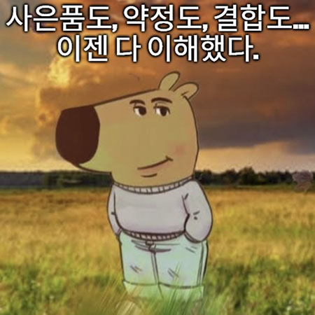 이젠 다 이해했다...jpg