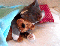 wz_2042555497_b0cd822d0f0775f5ad1964a2be54e013.gif wz_2042555497_b0cd822d0f0775f5ad1964a2be54e013.gif