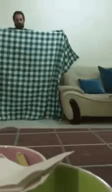 wz_1893618444_8f173d0eaffc4b90c0c0361b8f37cc17.gif wz_1893618444_8f173d0eaffc4b90c0c0361b8f37cc17.gif