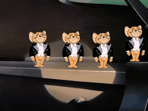 제리짤.gif