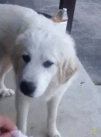 9szbx1hqot2gd45a70n3vwrf6lcjukeyim8p14jihdlwrp0nvk2otsqe5ymx7buag36czf89.gif